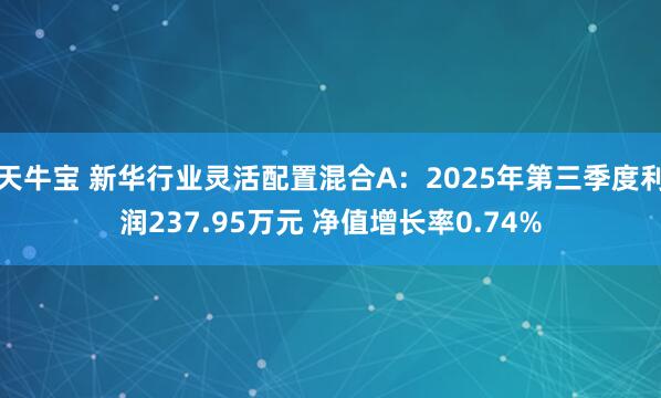 天牛宝 新华行业灵活配置混合A：2025年第三季度利润237.95万元 净值增长率0.74%